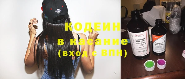 индика Покровск