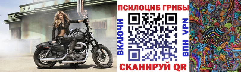 кракен как войти  Козловка  Галлюциногенные грибы Psilocybe  наркота 